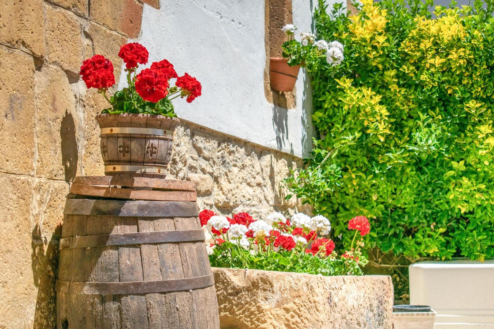 Casa Rural Arotzenia, Hogar Rustico En Pleno Valle De La Ulzama Lizaso Exterior foto
